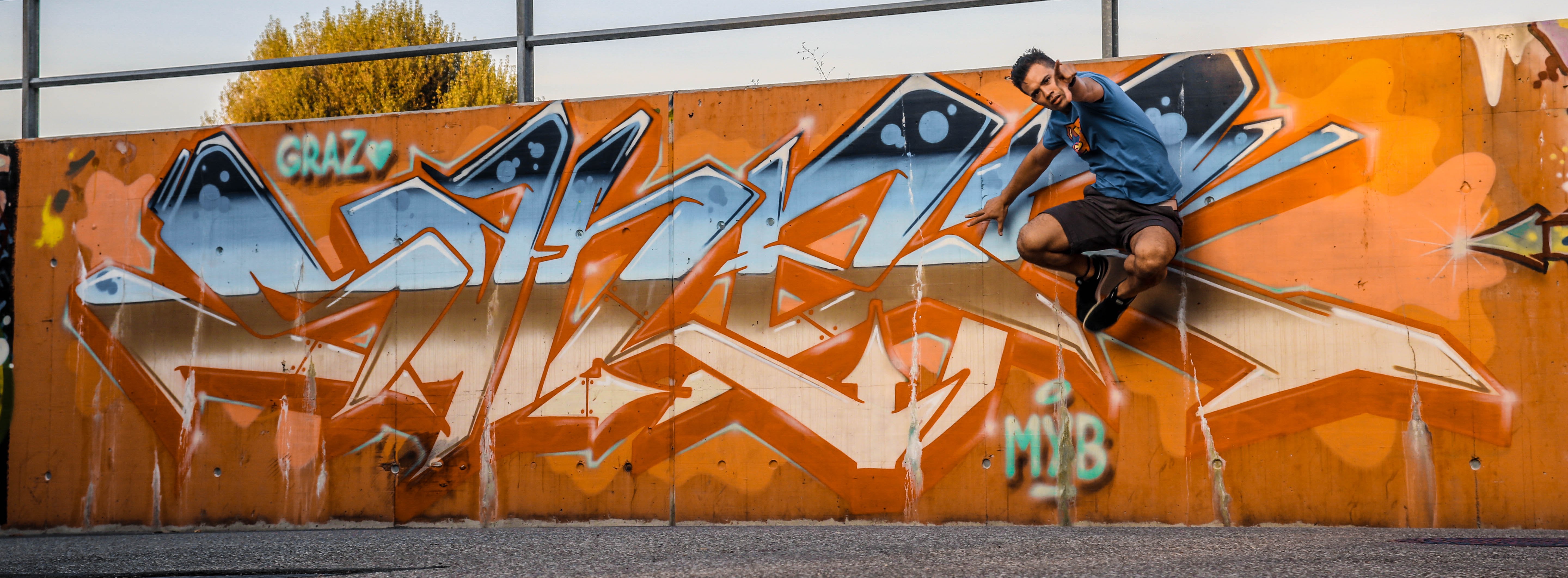 Shock One Wall